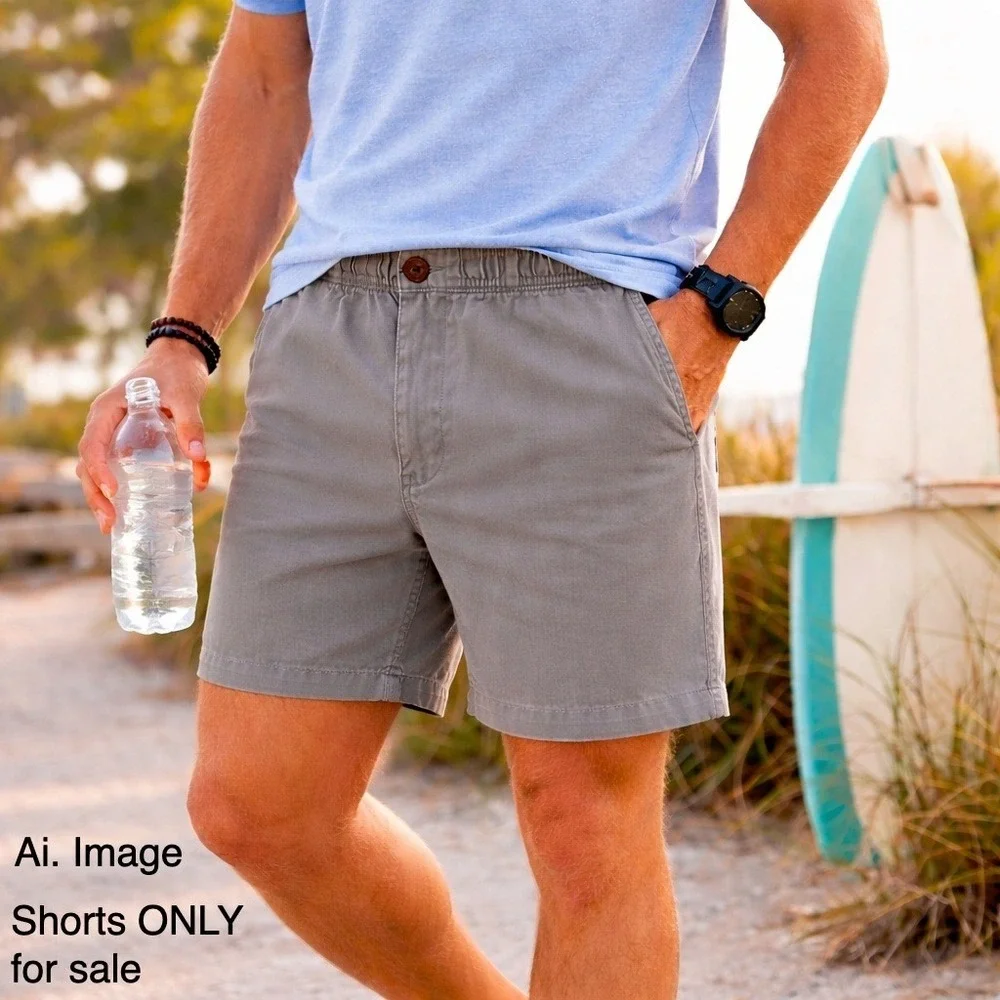 Chubbies Shorts Mens XL Gray 5.5 (5") Inseam Elastic Waist Stretch Casual Preppy - Picture 1 of 13